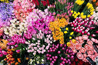 外媒评今年游玩时间超过百小时的游戏 《博德之门3》等