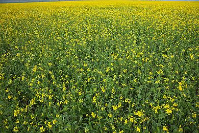 传《地铁：逃离》续作已完全可玩 2024年发售